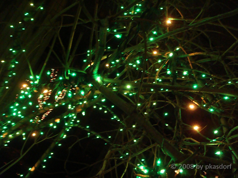 053 Toledo Zoo Light Show [2008 Dec 27].JPG - Scenes from the Toledo Zoo Light Show.